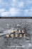 Fatal Words: Communication Clashes and Aircraft Crashes