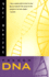 French Dna: Trouble in Purgatory