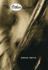 The Other Lover (Phoenix Poets)