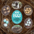 Bird Eggs: a Young Naturalist's Guide
