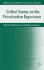 Critical Essays on the Privatisation Experience (International Papers in Political Economy)