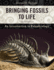 Bringing Fossils to Life: an Introduction to Paleobiology