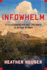 Infowhelm: Environmental Art and Literature in an Age of Data (Literature Now)