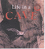 Life in a Cave (Microhabitats)