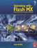 Animating With Flash Mx: Professional Creative Animation Techniques