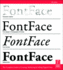 Fontface: the Complete Guide to Creating, Marketing & Selling Digital Fonts