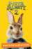 Peter Rabbit 2, Based on the Major New Movie: Peter Rabbit 2: the Runaway