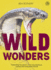 Wild Wonders: Celebrating the Planet's Most Misunderstood, Unloved and Overlooked Animals