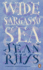 Wide Sargasso Sea: Jean Rhys: 12 (Penguin Essentials, 12)