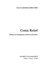 Comic Relief: Humor in Contemporary American Literature
