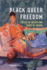 Black Queer Freedom: Spaces of Injury and Paths of Desire (New Black Studies Series)