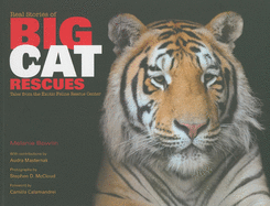 Real Stories of Big Cat Rescues: Tales From the Exotic Feline Rescue Center