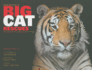 Real Stories of Big Cat Rescues: Tales From the Exotic Feline Rescue Center