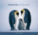 Penguins in the Wild (Mit Press)