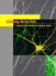 Culturing Nerve Cells (Bradford Books)