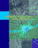 Culturing Nerve Cells
