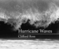 Hurricane Waves (Mit Press)