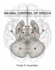Neural Control of Speech (Mit Press)