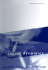 Social Dynamics (Economic Learning and Social Evolution)