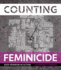 Counting Feminicide: Data Feminism in Action