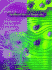 Elements of Artificial Neural Networks (Complex Adaptive Systems)