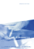 Social Dynamics (Economic Learning and Social Evolution)