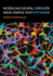 Modeling Neural Circuits Made Simple With Python