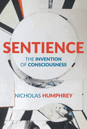 Sentience: the Invention of Consciousness