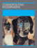 Annotating Art Histories-Cosmopolitan Modernisms