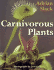 Carnivorous Plants