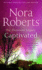 Captivated (Mills and Boon Single Titles) (Mills & Boon Special Releases)