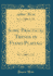 Some Practical Things in Piano Playing (Classic Reprint)