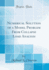Numerical Solution of a Model Problem From Collapse Load Analysis (Classic Reprint)