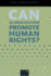 Can Globalization Promote Human Rights? (Essays on Human Rights)