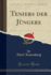 Teniers Der J�ngere (Classic Reprint)