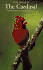The Cardinal