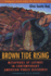 Brown Tide Rising Metaphors of Latinos in Contemporary American Public Discourse