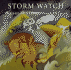 Storm Watch: the Art of Barbara Earl Thomas (the Jacob Lawrence Series on American Artists)