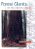 Forest Giants of the Pacific Coast