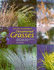 Colour Encyclopedia of Ornamental Grasses: Sedges, Rushes, Restios, Cat-Tails, and Selected Bamboos