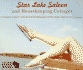 Star Lake Saloon and Housekeeping Cottages: an Abridged Audiobook