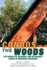 Condos in the Woods: the Growth of Seasonal and Retirement Homes in Northern Wisconsin (Wisconsin Land and Life)