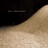 Maya Lin: Systematic Landscapes
