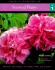 Scented Plants: Instant Reference to More Than 250 Plants