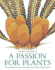 A Passion for Plants: Contemporary Botanical Masterworks