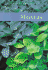 Hostas