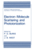 Electron-Molecule Scattering and Photoionization (Physics of Atoms and Molecules)