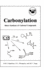 Carbonylation: Direct Synthesis of Carbonyl Compounds (Institute for Amorphous Studies)