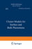 Cluster Models for Surface and Bulk Phenomena (Nato Science Series B: 283)