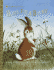 Home for a Bunny (Big Little Golden Book)
